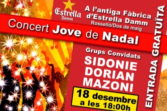 Concert Jove de Nadal