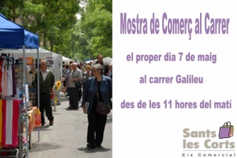 Passa amb nosaltres un dia ple de màgia