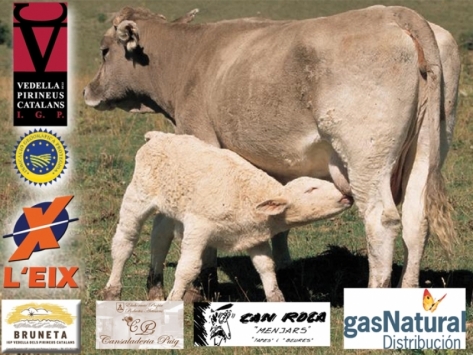 La Fiesta Mayor de l'Eix!