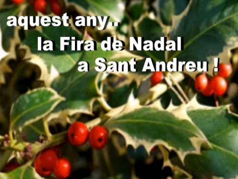 FERIA DE NAVIDAD!