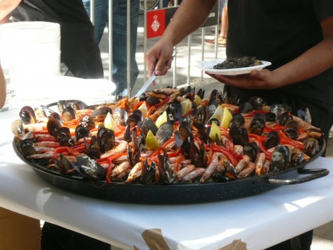 Arrossos del món 2013