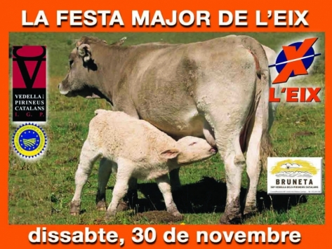 La Fiesta del Eix
