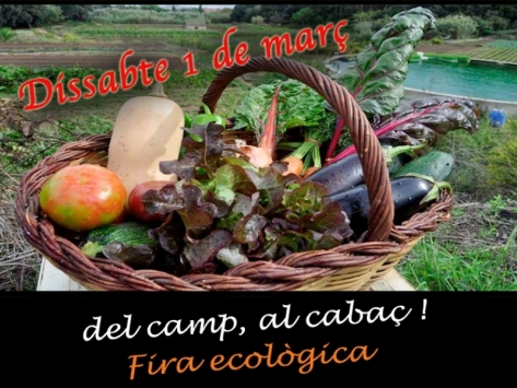 Del campo al cesto!