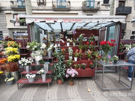 Talleres creativos de arte floral en el Mercado de la Boqueria