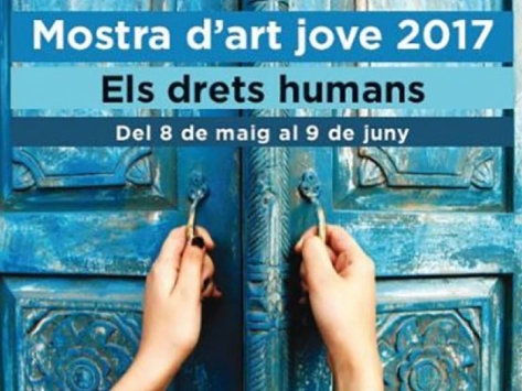 Mostra d'Art Jove 2017