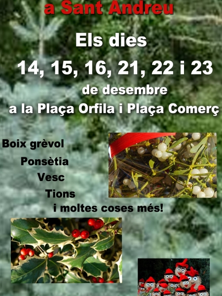 FERIA DE NAVIDAD!