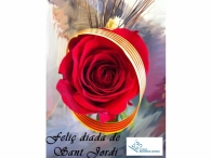 Bona diada de Sant Jordi