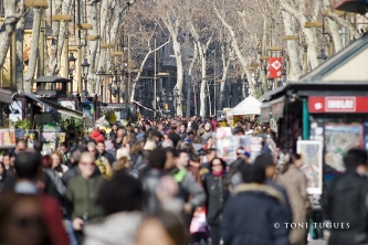 L’AJUNTAMENT DE BARCELONA ATORGA LA MEDALLA D’HONOR DE LA CIUTAT A L’ASSOCIACIÓ D’AMICS DE LA RAMBLA