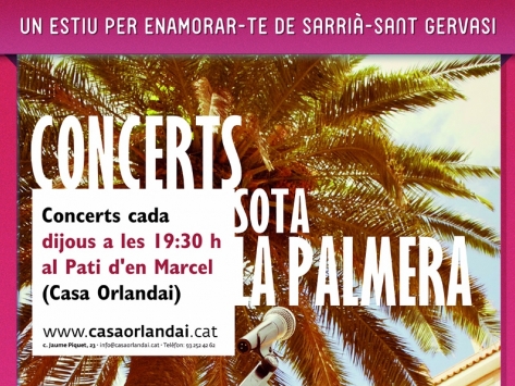 Concerts sota la palmera