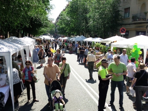 Éxito del Comercio en la Calle y desfile de Moda 2013