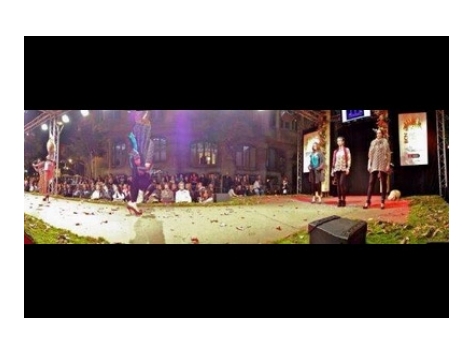 Èxit de la Passarel·la de Moda al Carrer - 2013