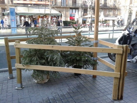 Punt de recollida per a deixar l'arbre de Nadal