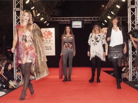 El Cor d’Horta sobre la pasarela