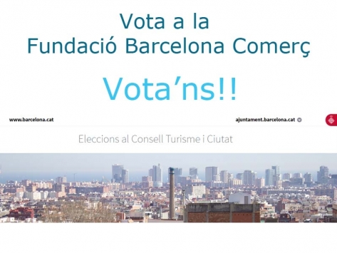 Elecciones al Consejo Turismo y Ciudad