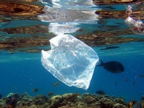 Prohibición gratuidad de bolsas de plástico en los comercios